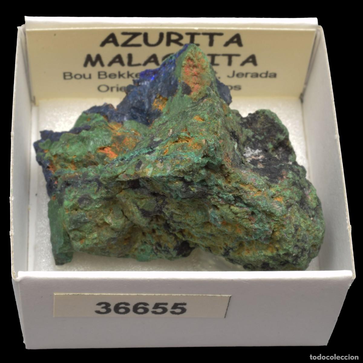 Coleccionismo de minerales: AZURITA - MALAQUITA (Bou Bekker, Touissit, Jerada Oriental, Marruecos) #36655