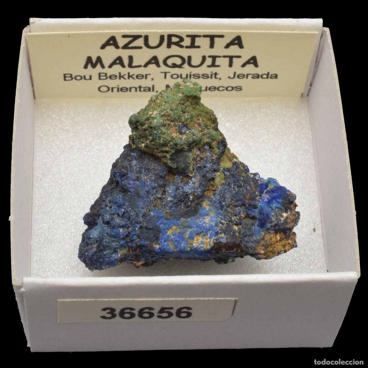 Coleccionismo de minerales: AZURITA - MALAQUITA (Bou Bekker, Touissit, Jerada Oriental, Marruecos) #36656