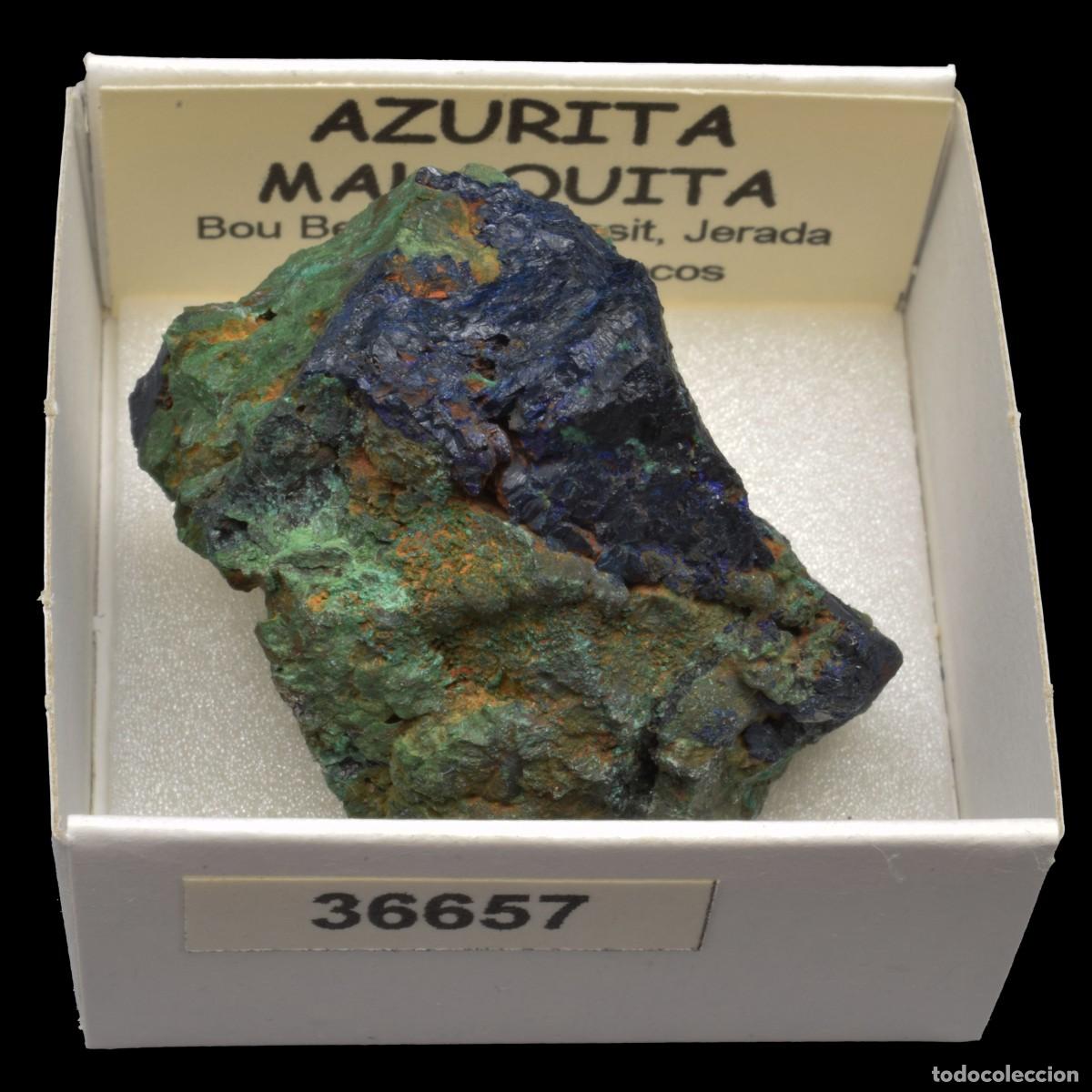 Coleccionismo de minerales: AZURITA - MALAQUITA (Bou Bekker, Touissit, Jerada Oriental, Marruecos) #36657