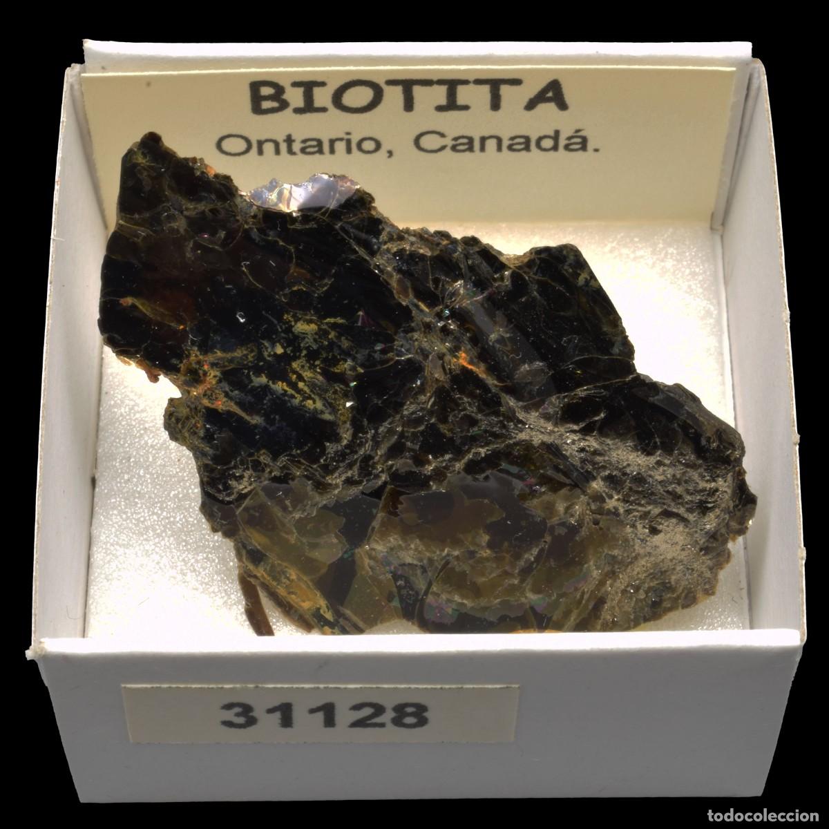 Coleccionismo de minerales: BIOTITA (Ontario, Canada) #31128