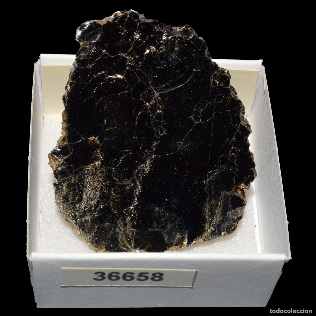 Coleccionismo de minerales: BIOTITA (Ontario, Canada) #36658