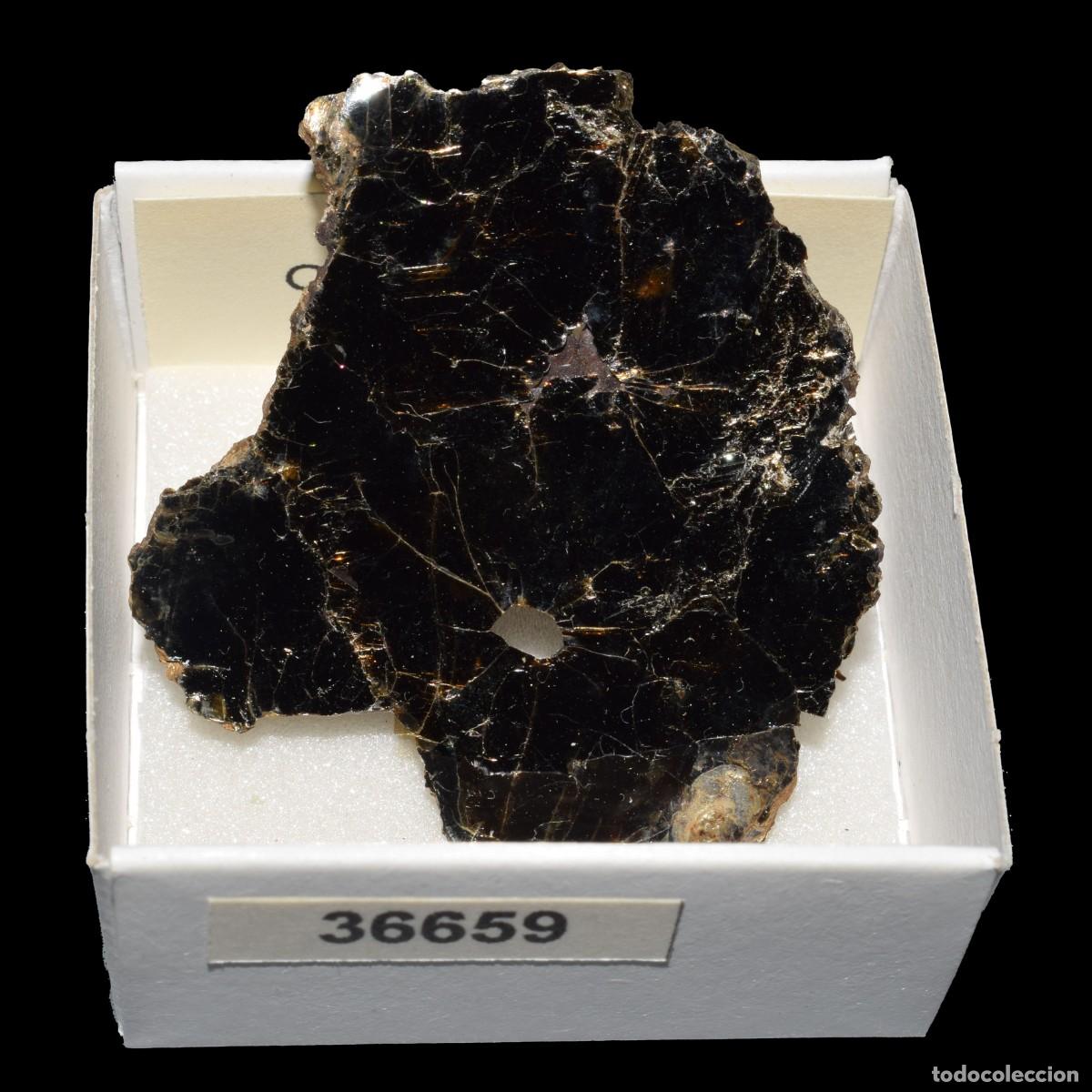 Coleccionismo de minerales: BIOTITA (Ontario, Canada) #36659