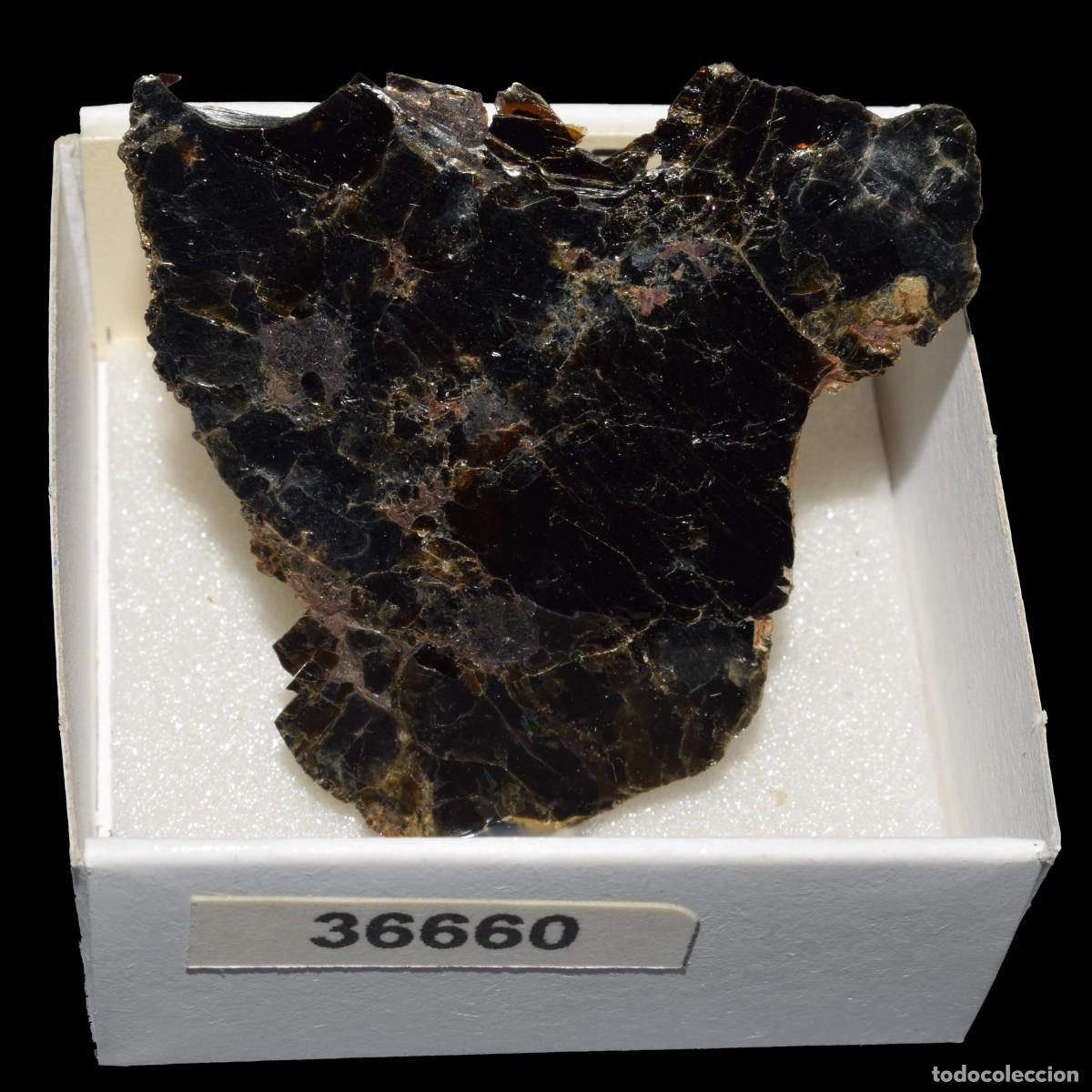 Coleccionismo de minerales: BIOTITA (Ontario, Canada) #36660