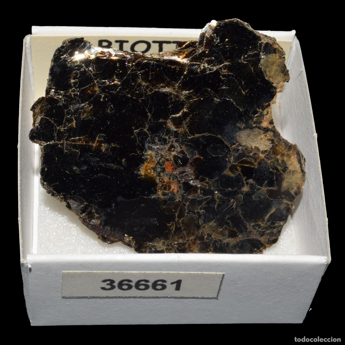 Coleccionismo de minerales: BIOTITA (Ontario, Canada) #36661