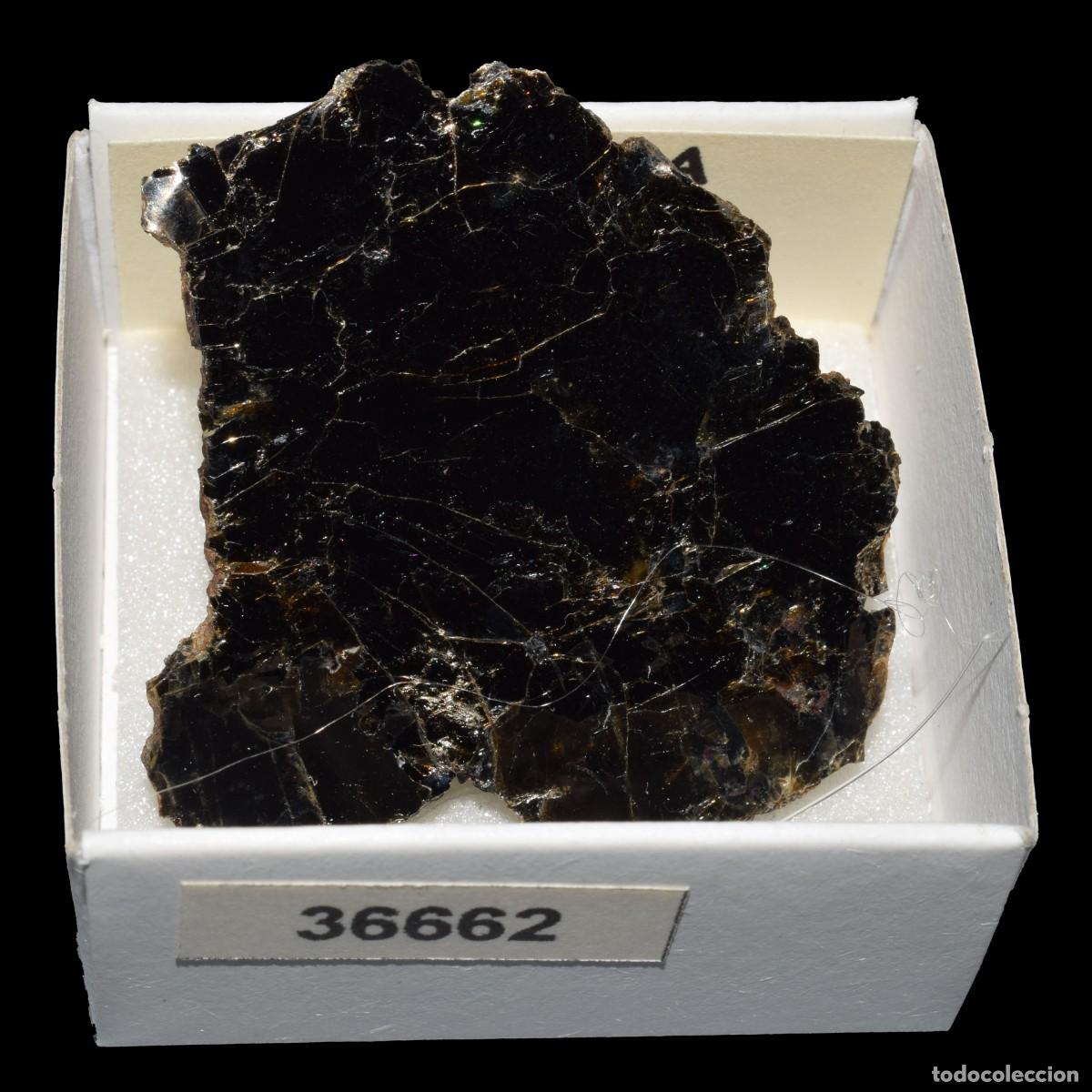Coleccionismo de minerales: BIOTITA (Ontario, Canada) #36662