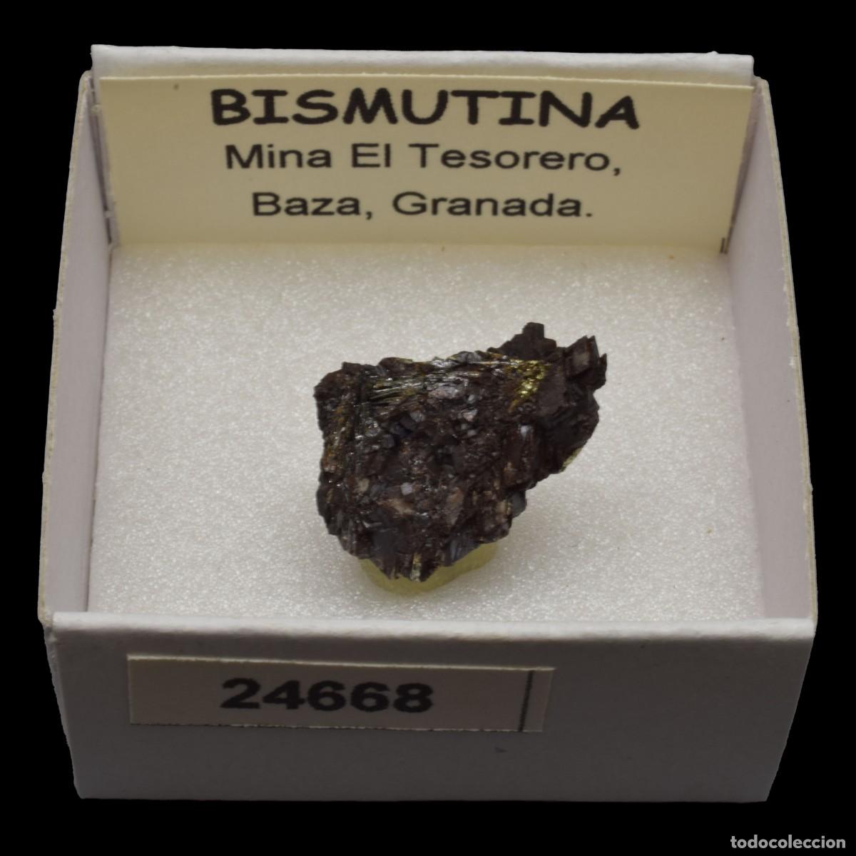 Coleccionismo de minerales: BISMUTINA (Mina El Tesorero, Baza, Granada, Espa&ntilde;a) #24668