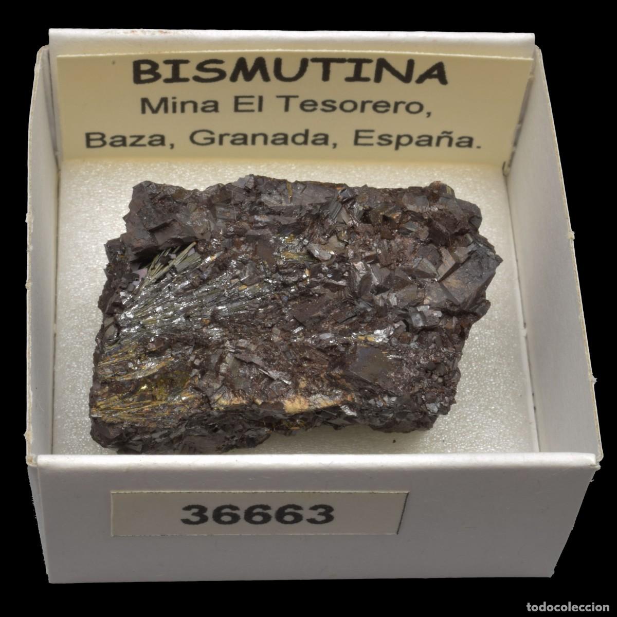 Coleccionismo de minerales: BISMUTINA (Mina El Tesorero, Baza, Granada, Espa&ntilde;a) #36663