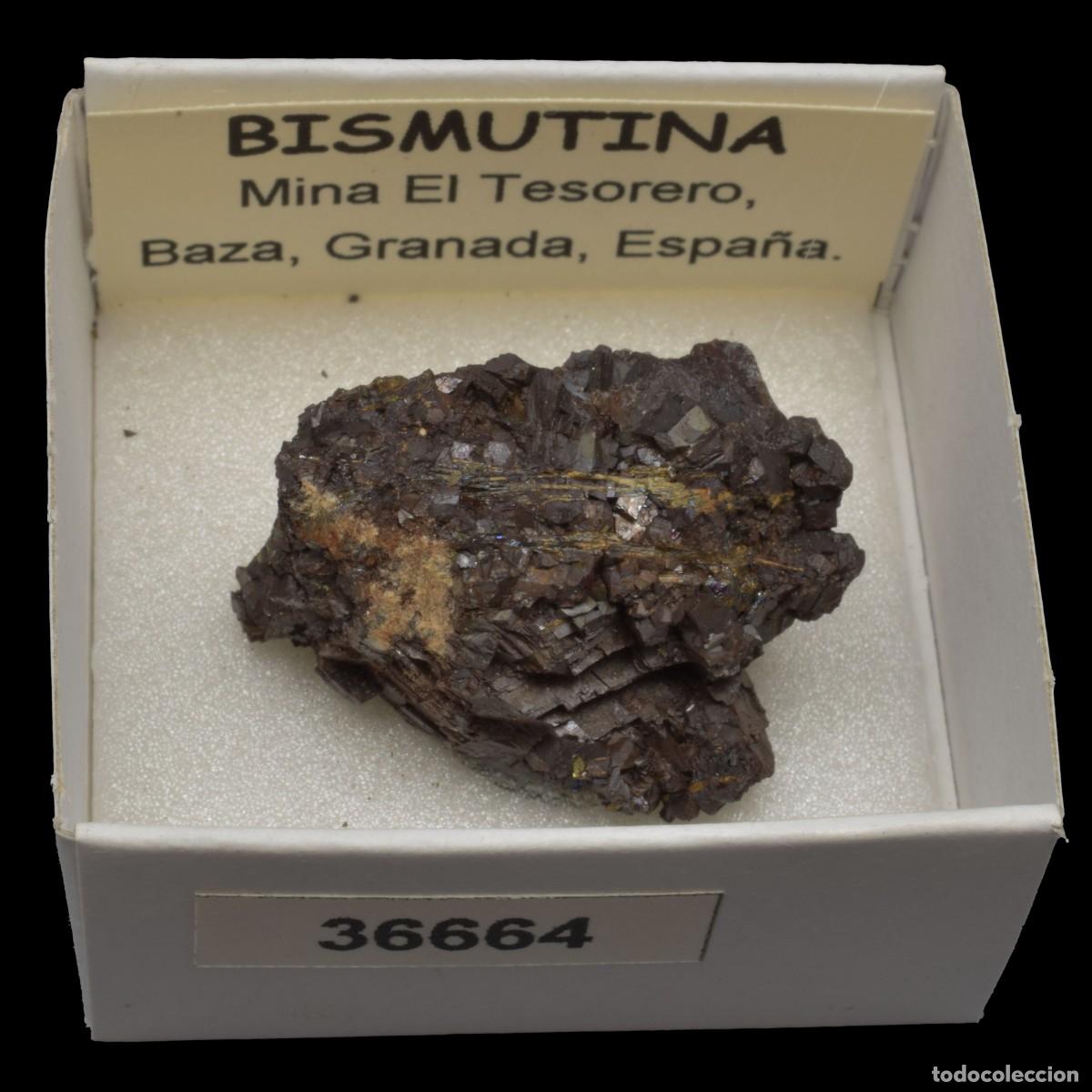 Coleccionismo de minerales: BISMUTINA (Mina El Tesorero, Baza, Granada, Espa&ntilde;a) #36664