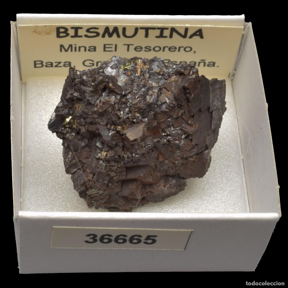 Coleccionismo de minerales: BISMUTINA (Mina El Tesorero, Baza, Granada, Espa&ntilde;a) #36665