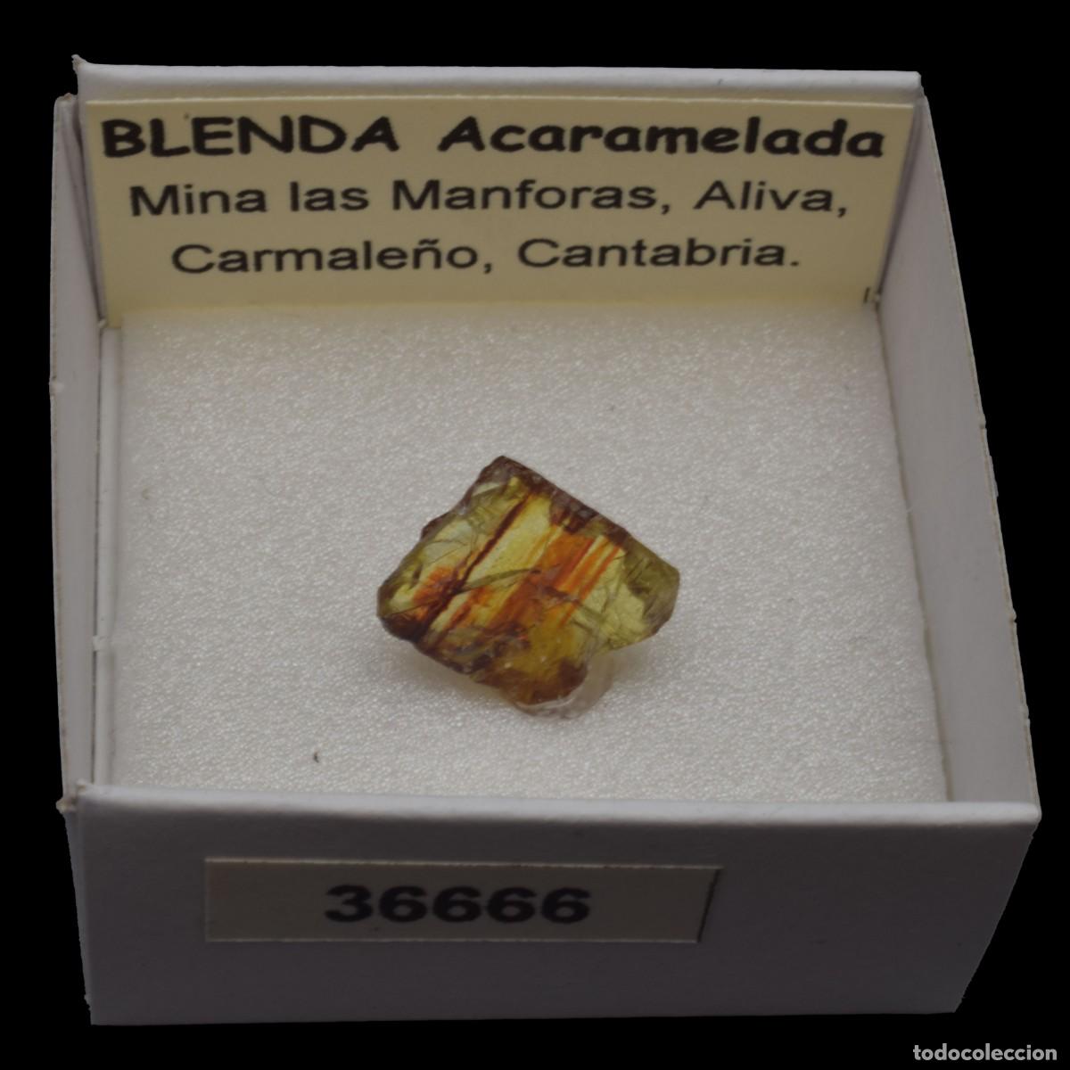 Coleccionismo de minerales: BLENDA Acaramelada (Mina Las Manforas, Aliva, Carmale&ntilde;o, Cantabria, Espa&ntilde;a) #36666