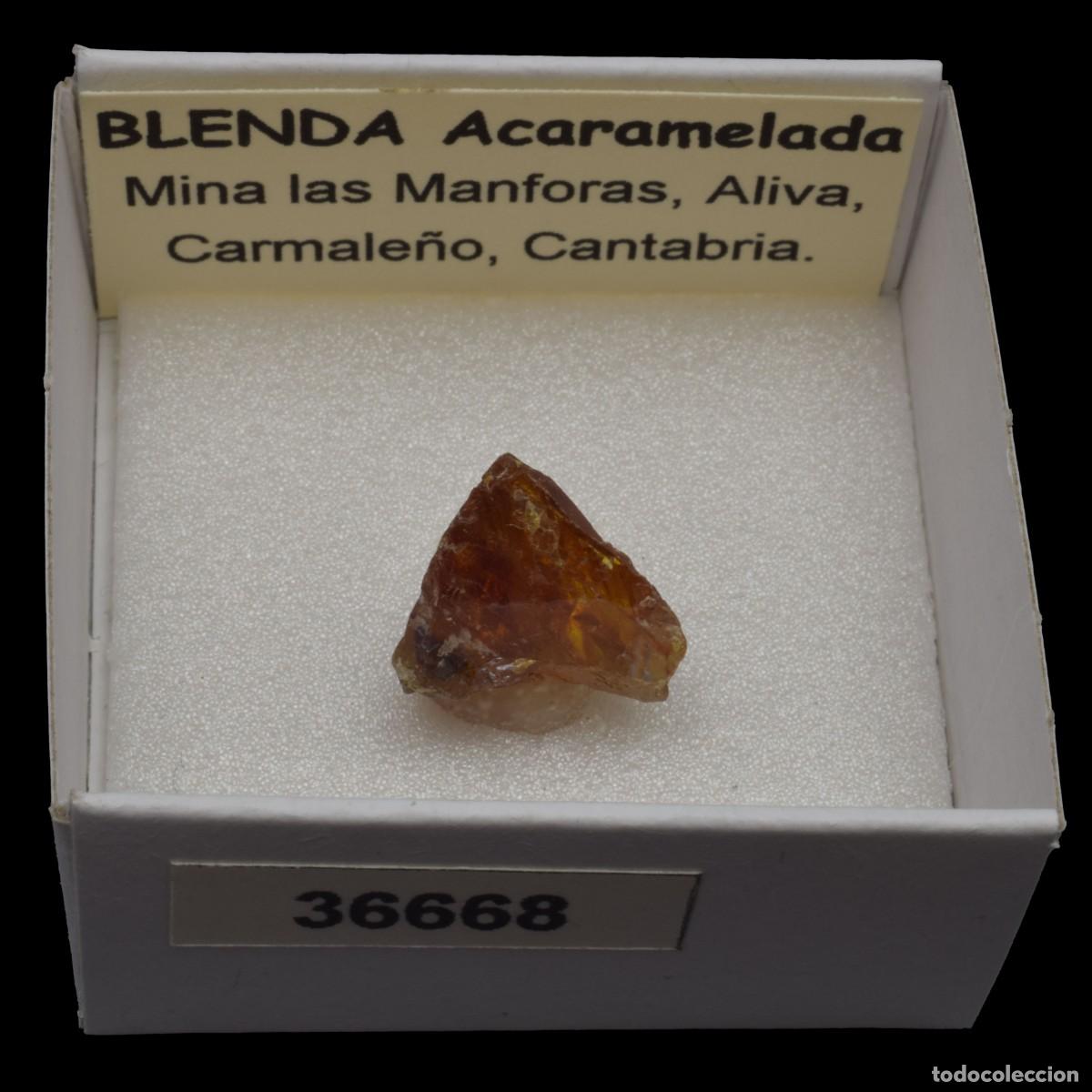 Coleccionismo de minerales: BLENDA Acaramelada (Mina Las Manforas, Aliva, Carmale&ntilde;o, Cantabria, Espa&ntilde;a) #36668