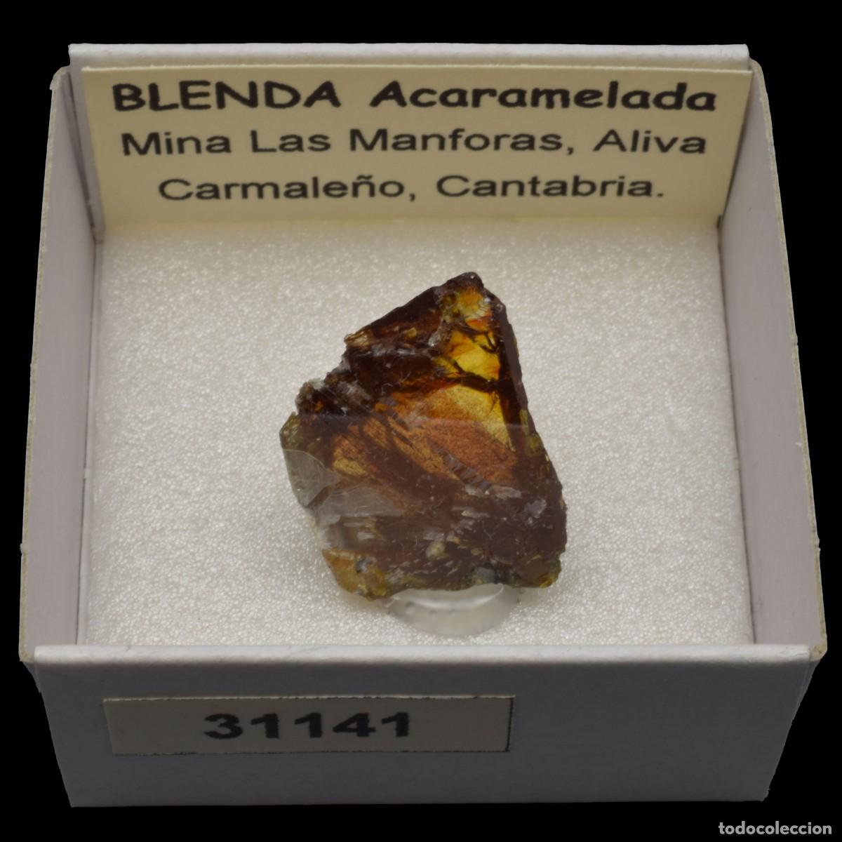 Coleccionismo de minerales: BLENDA Acaramelada (Mina Las Manforas, Aliva, Carmale&ntilde;o, Cantabria, Espa&ntilde;a) #31141