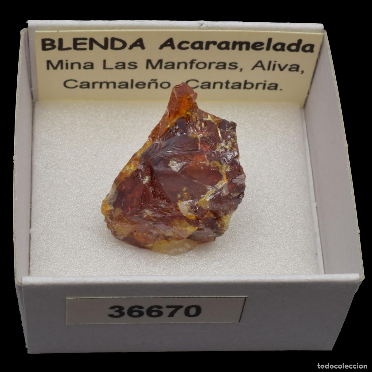 Coleccionismo de minerales: BLENDA Acaramelada (Mina Las Manforas, Aliva, Carmale&ntilde;o, Cantabria, Espa&ntilde;a) #36670