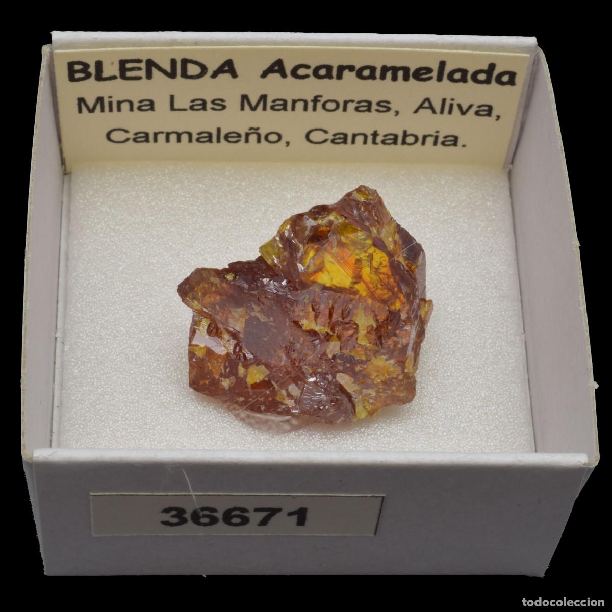 Coleccionismo de minerales: BLENDA Acaramelada (Mina Las Manforas, Aliva, Carmale&ntilde;o, Cantabria, Espa&ntilde;a) #36671