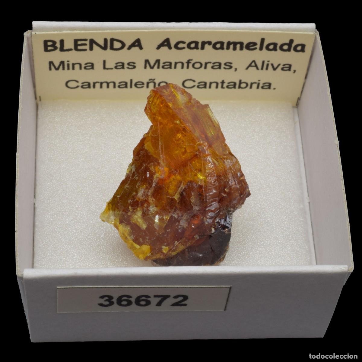 Coleccionismo de minerales: BLENDA Acaramelada (Mina Las Manforas, Aliva, Carmale&ntilde;o, Cantabria, Espa&ntilde;a) #36672