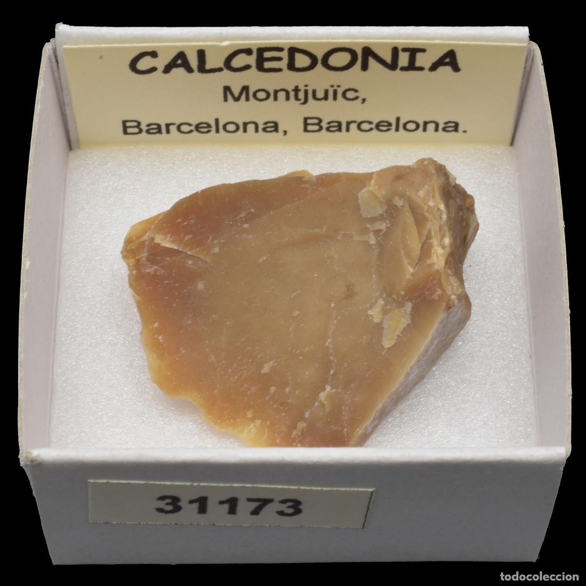 Coleccionismo de minerales: CALCEDONIA (Montju&iuml;c, Barcelona, Espa&ntilde;a) #31173