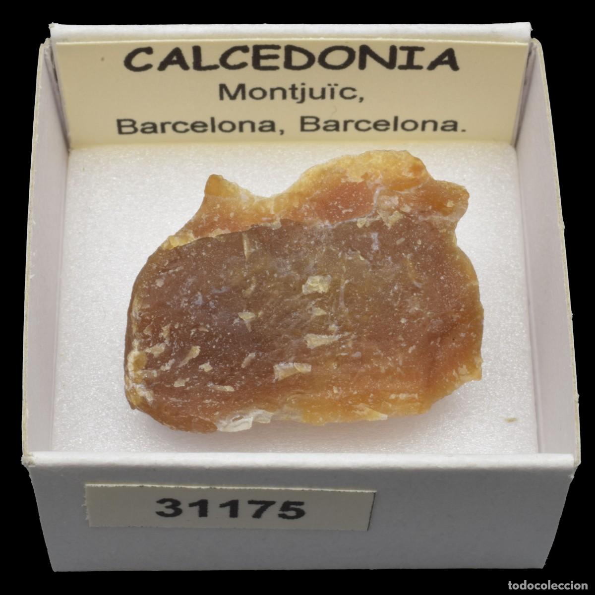 Coleccionismo de minerales: CALCEDONIA (Montju&iuml;c, Barcelona, Espa&ntilde;a) #31175