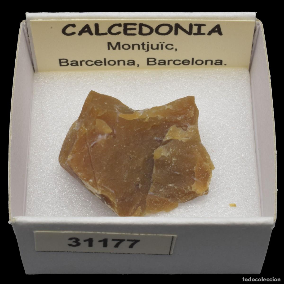 Coleccionismo de minerales: CALCEDONIA (Montju&iuml;c, Barcelona, Espa&ntilde;a) #31177