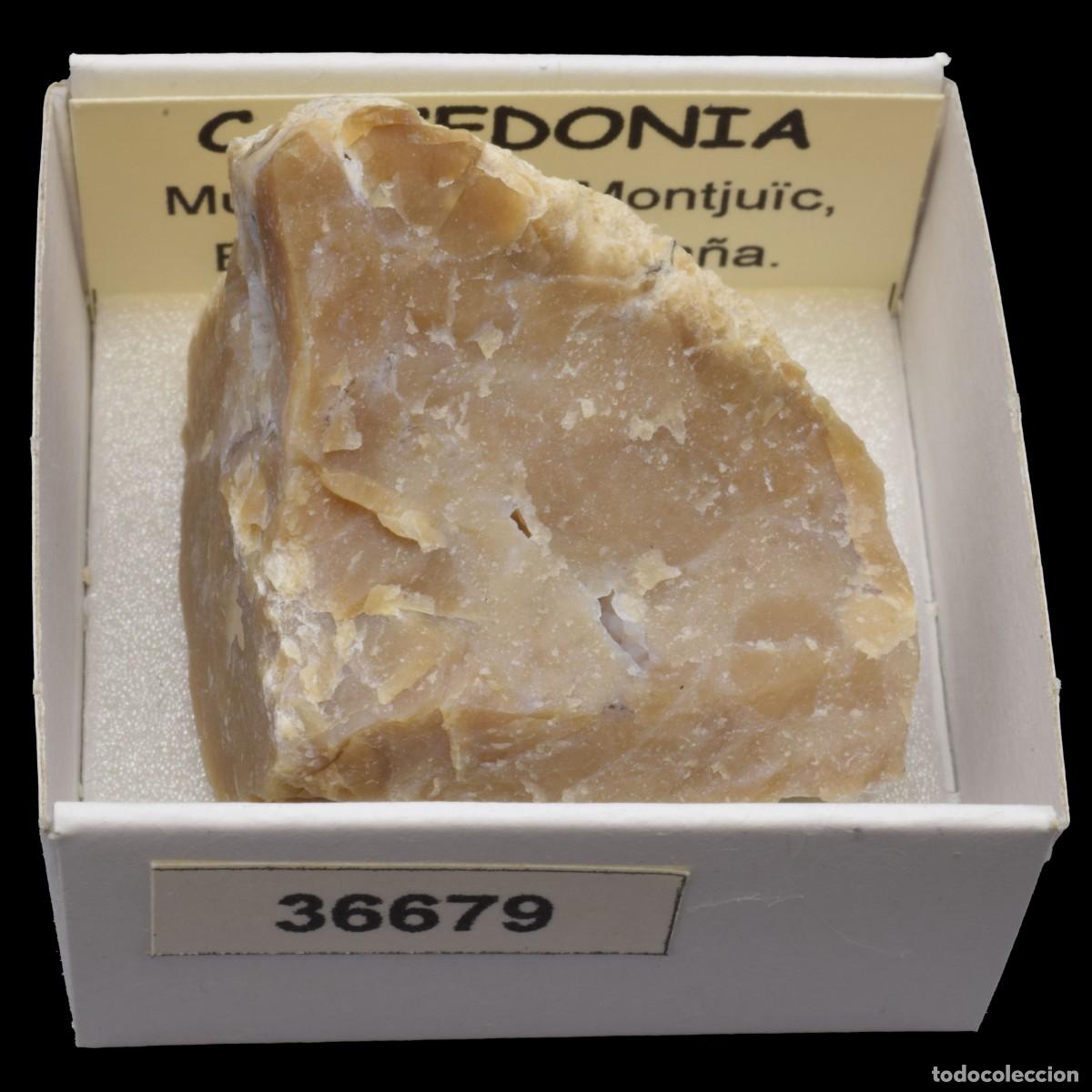 Coleccionismo de minerales: CALCEDONIA (Montju&iuml;c, Barcelona, Espa&ntilde;a) #36679