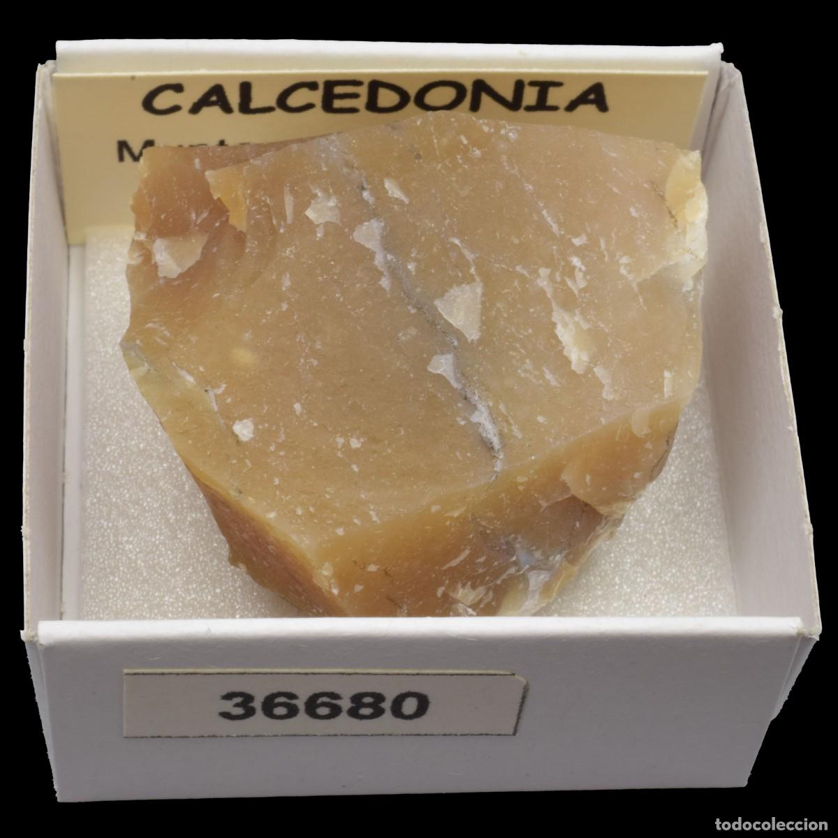 Coleccionismo de minerales: CALCEDONIA (Montju&iuml;c, Barcelona, Espa&ntilde;a) #36680