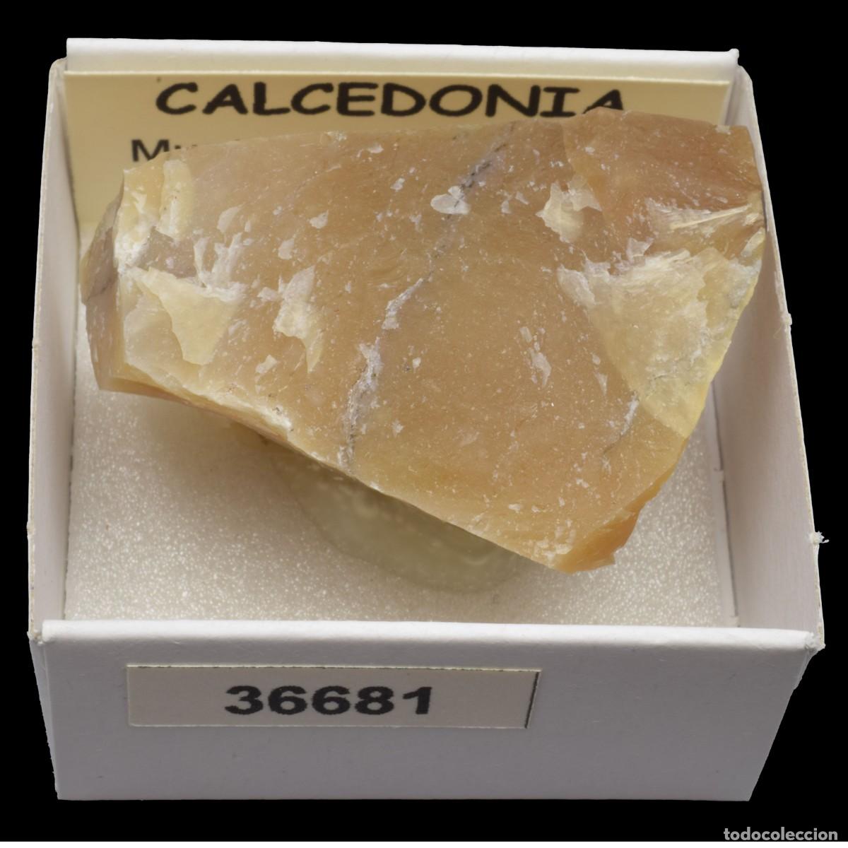 Coleccionismo de minerales: CALCEDONIA (Montju&iuml;c, Barcelona, Espa&ntilde;a) #36681