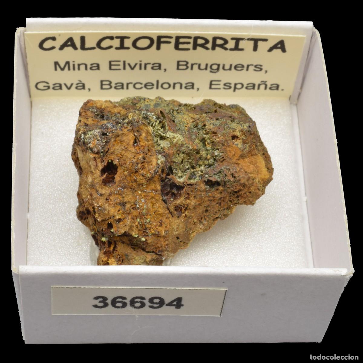 Coleccionismo de minerales: CALCIOFERRITA (Mina Elvira, Bruguers, Gava, Barcelona, Espa&ntilde;a) #36694