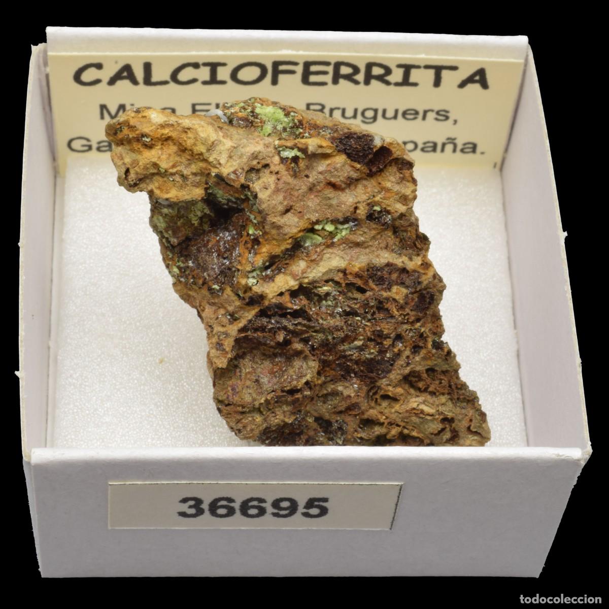 Coleccionismo de minerales: CALCIOFERRITA (Mina Elvira, Bruguers, Gava, Barcelona, Espa&ntilde;a) #36695