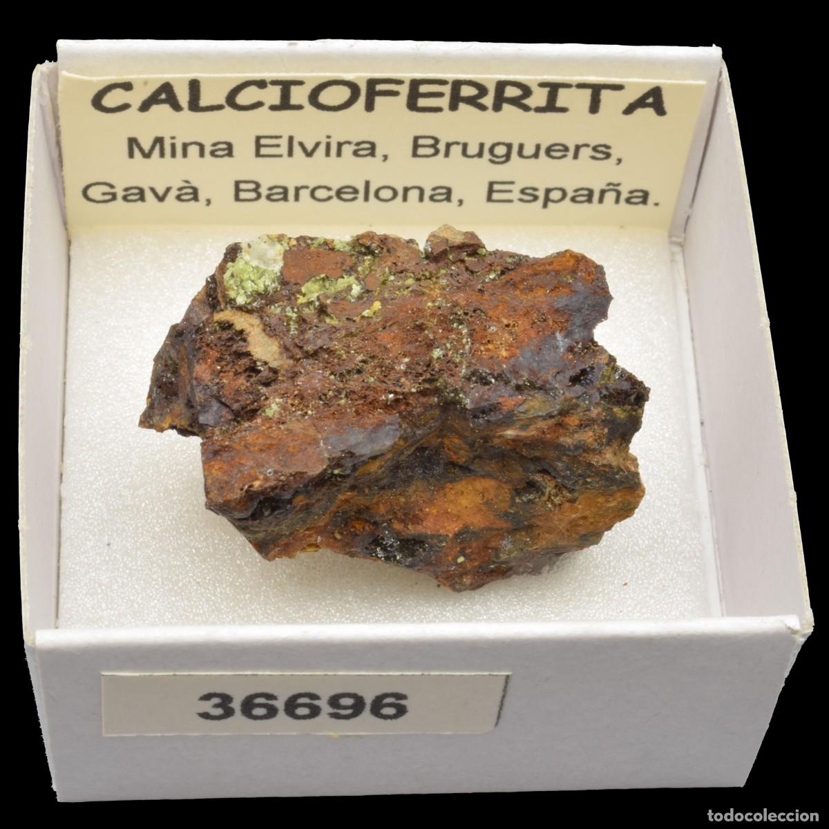 Coleccionismo de minerales: CALCIOFERRITA (Mina Elvira, Bruguers, Gava, Barcelona, Espa&ntilde;a) #36696
