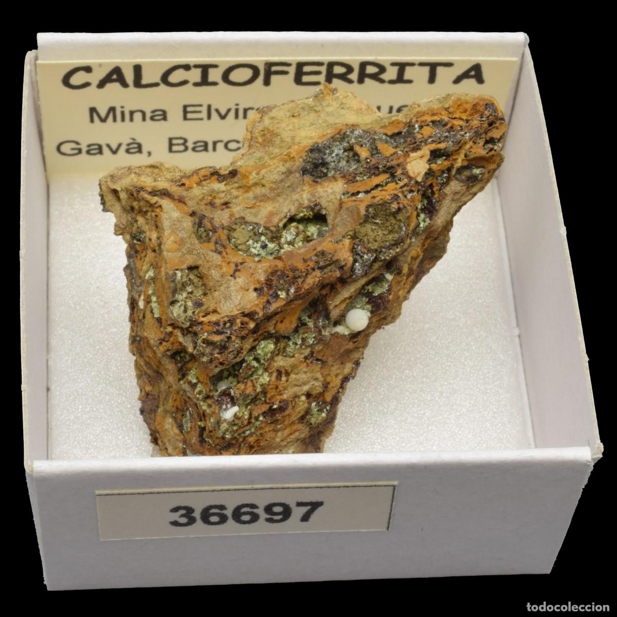 Coleccionismo de minerales: CALCIOFERRITA (Mina Elvira, Bruguers, Gava, Barcelona, Espa&ntilde;a) #36697