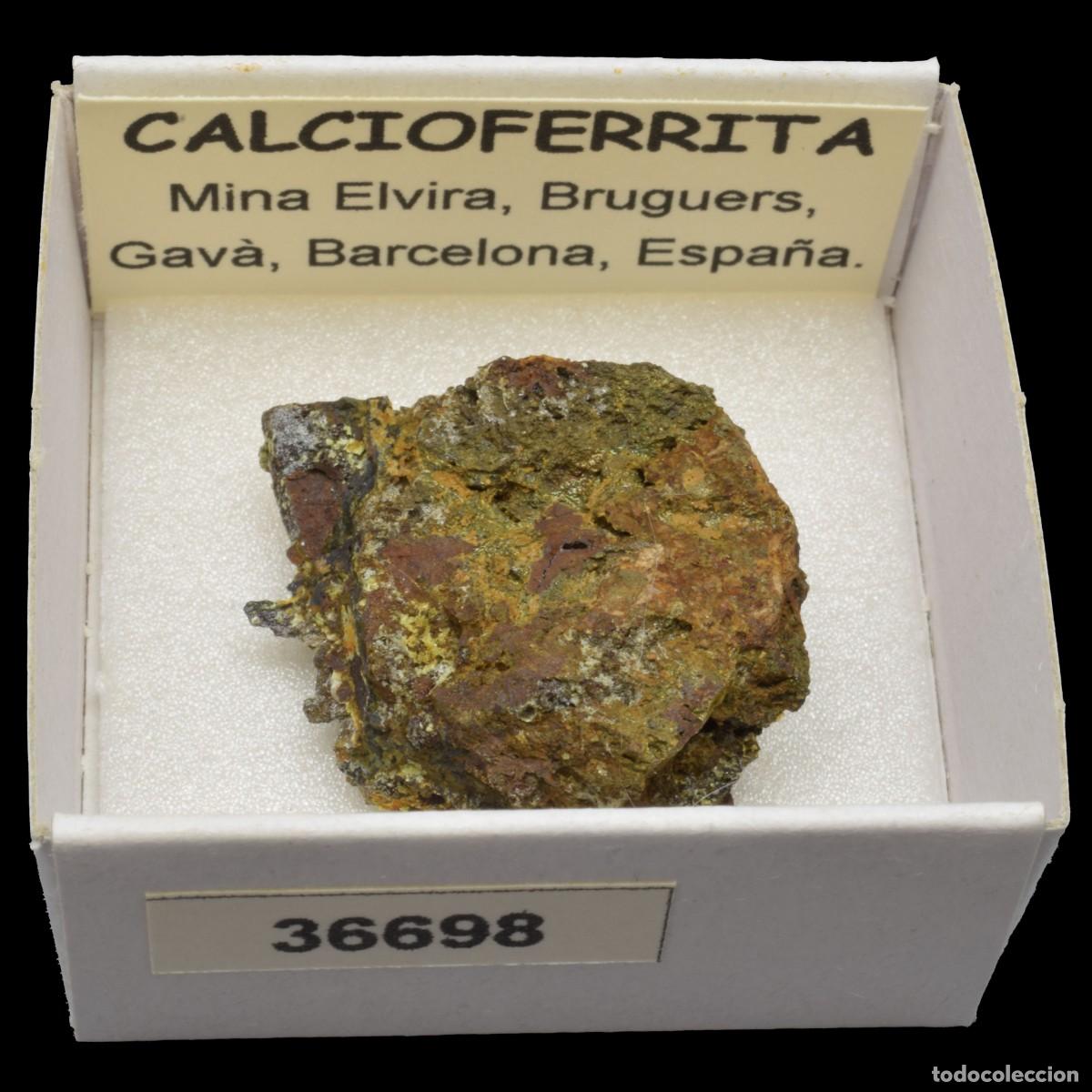 Coleccionismo de minerales: CALCIOFERRITA (Mina Elvira, Bruguers, Gava, Barcelona, Espa&ntilde;a) #36698