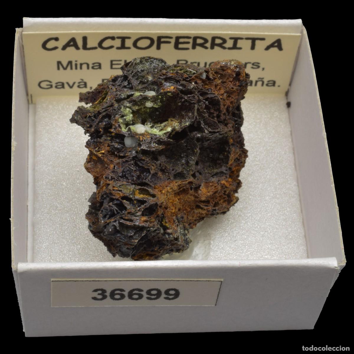 Coleccionismo de minerales: CALCIOFERRITA (Mina Elvira, Bruguers, Gava, Barcelona, Espa&ntilde;a) #36699