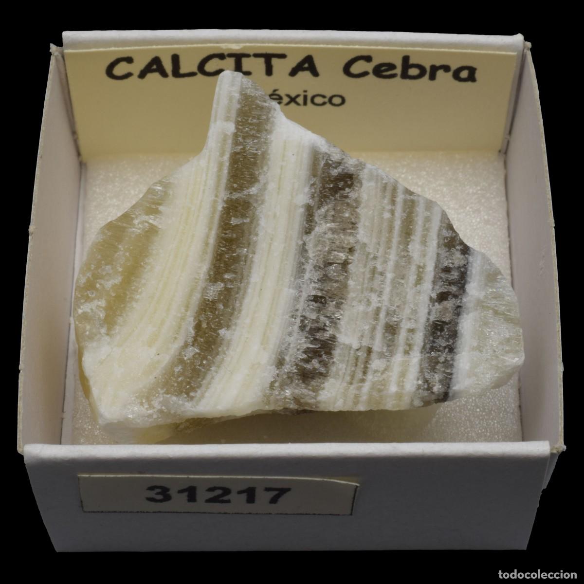 Coleccionismo de minerales: CALCITA Cebra (Mexico) #31217