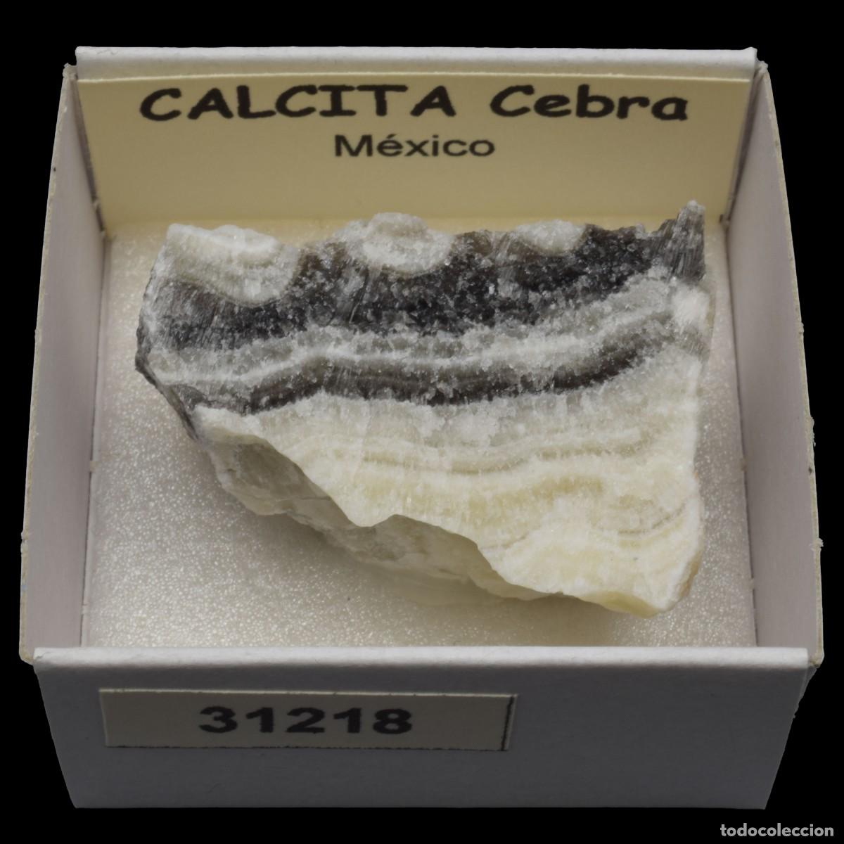 Coleccionismo de minerales: CALCITA Cebra (Mexico) #31218