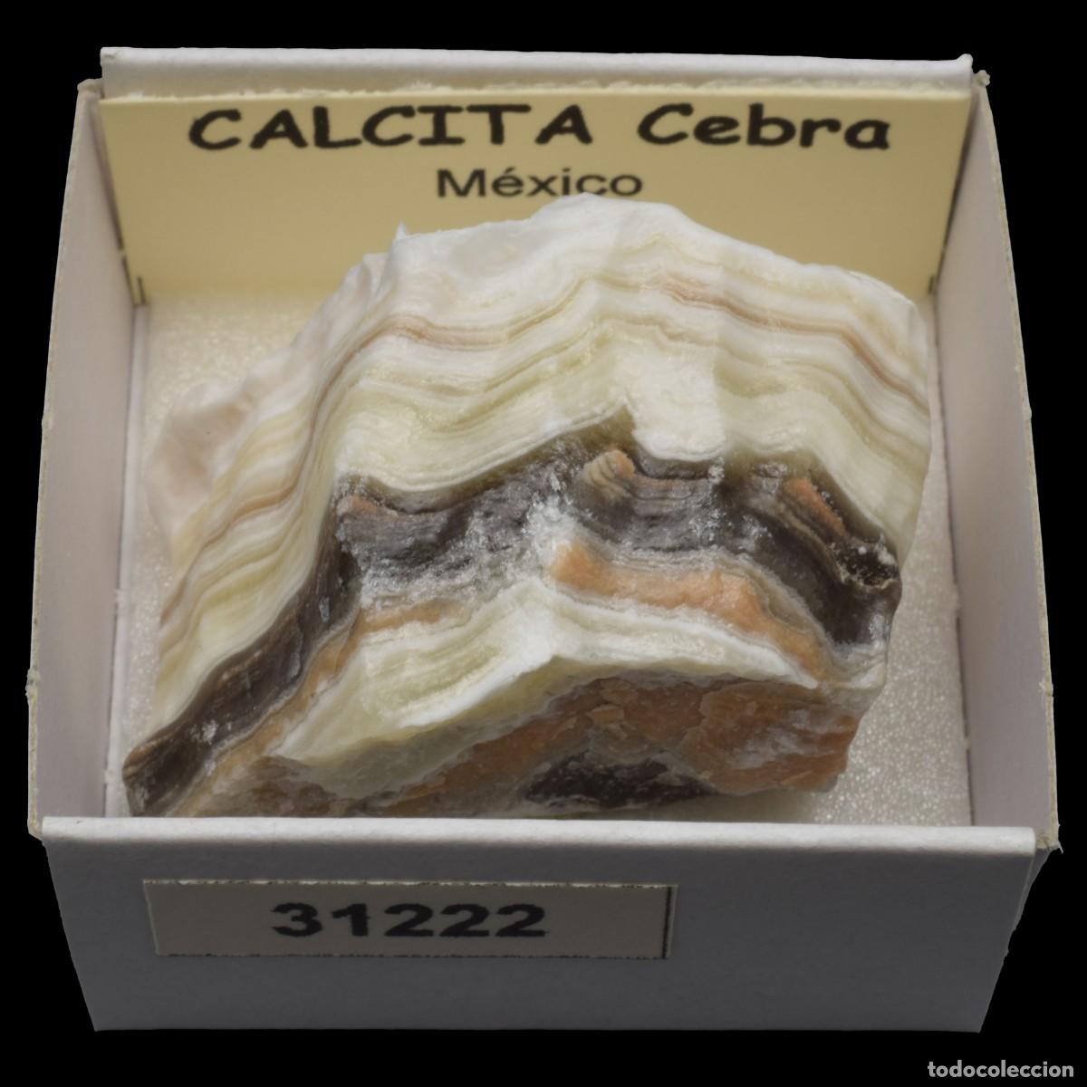 Coleccionismo de minerales: CALCITA Cebra (Mexico) #31222