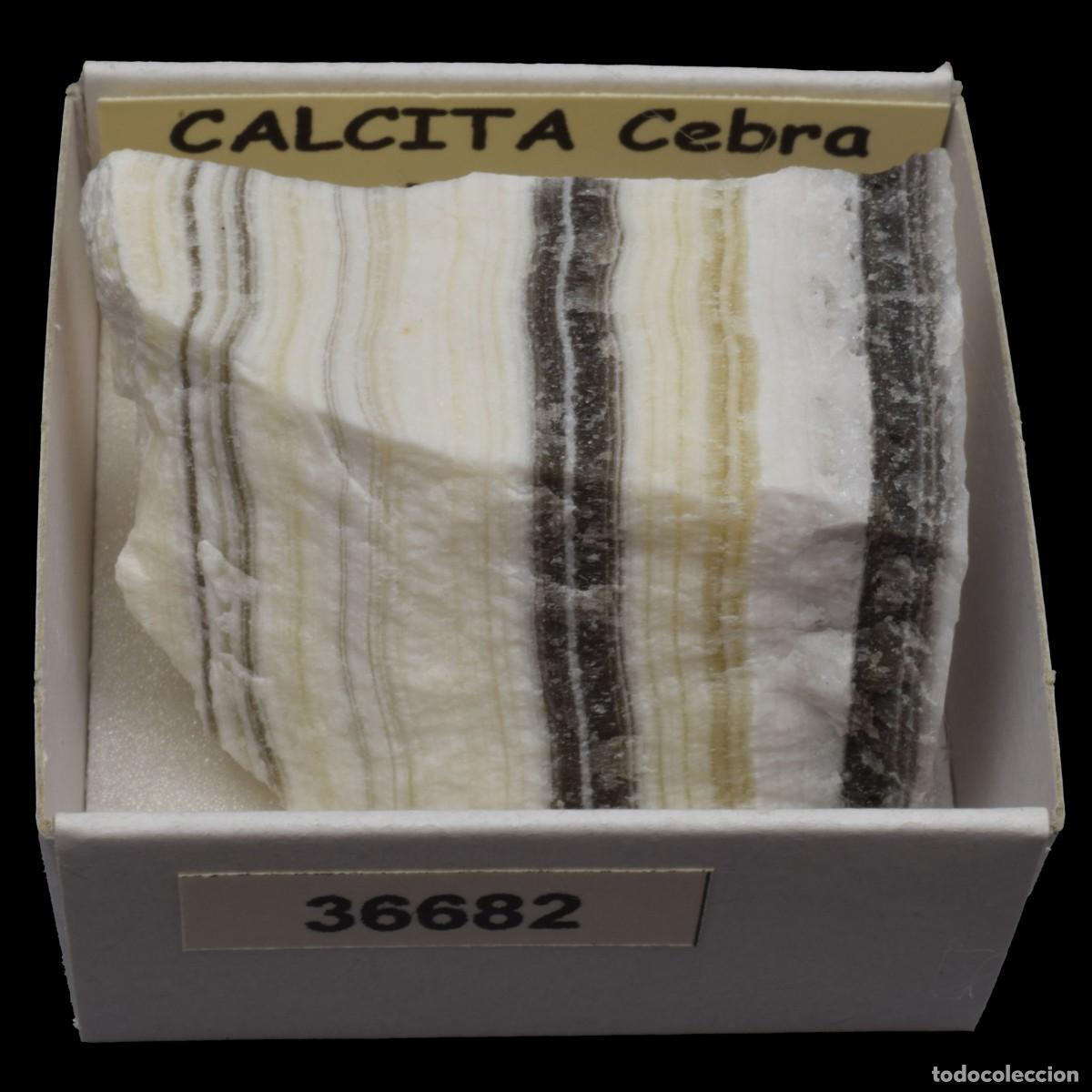 Coleccionismo de minerales: CALCITA Cebra (Mexico) #36682