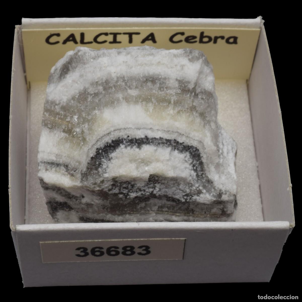 Coleccionismo de minerales: CALCITA Cebra (Mexico) #36683