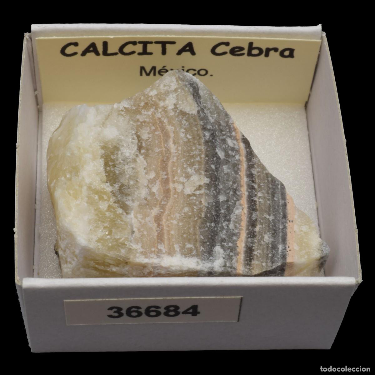 Coleccionismo de minerales: CALCITA Cebra (Mexico) #36684