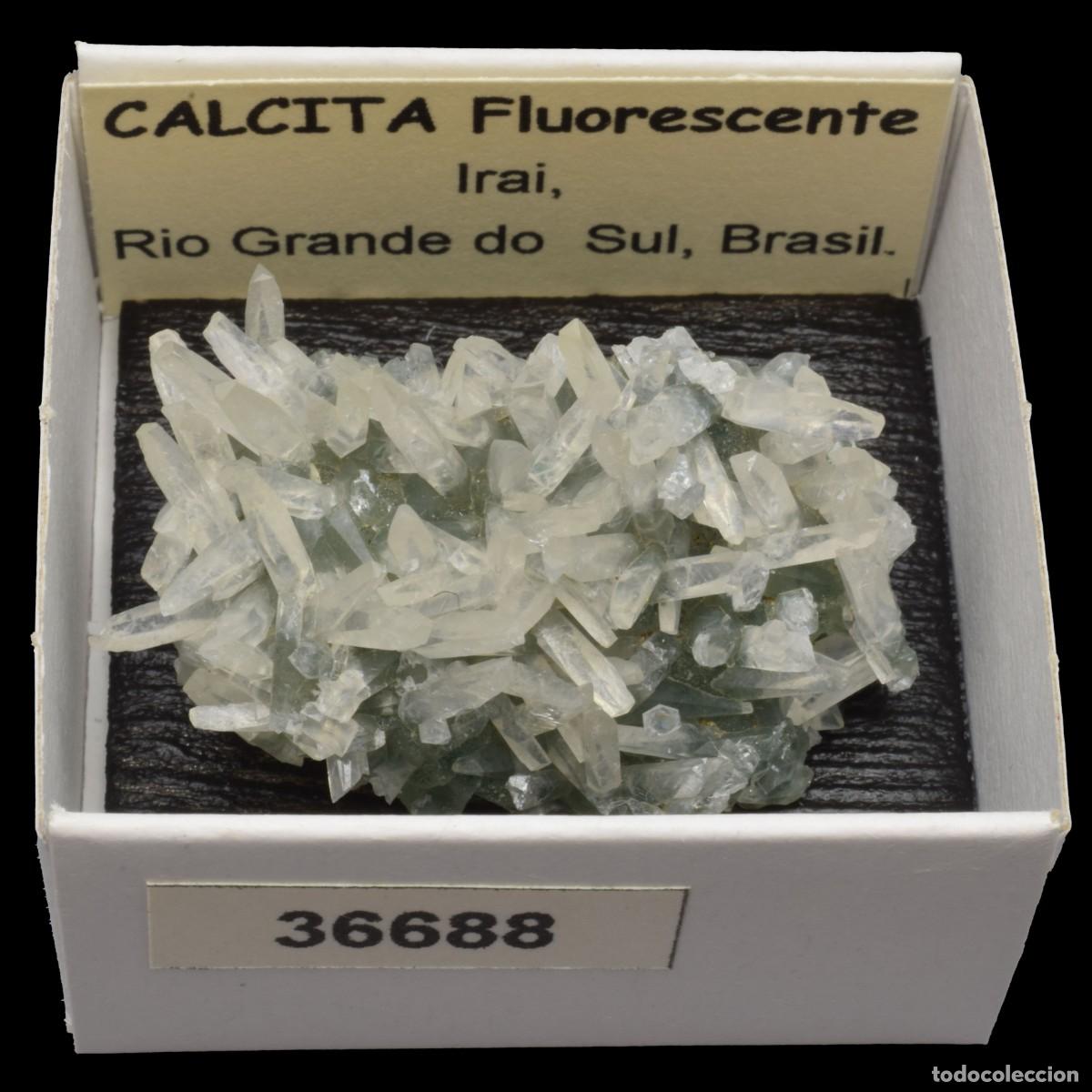 Collectionnisme de min&eacute;raux: CALCITA Fluorescente (Irai, Rio Grande do Sul, Brasil) #36688