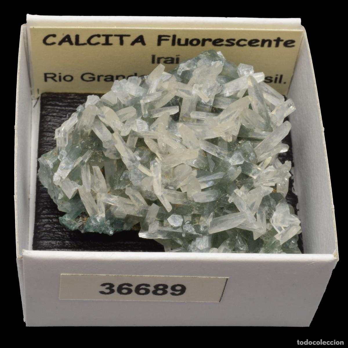 Collectionnisme de min&eacute;raux: CALCITA Fluorescente (Irai, Rio Grande do Sul, Brasil) #36689