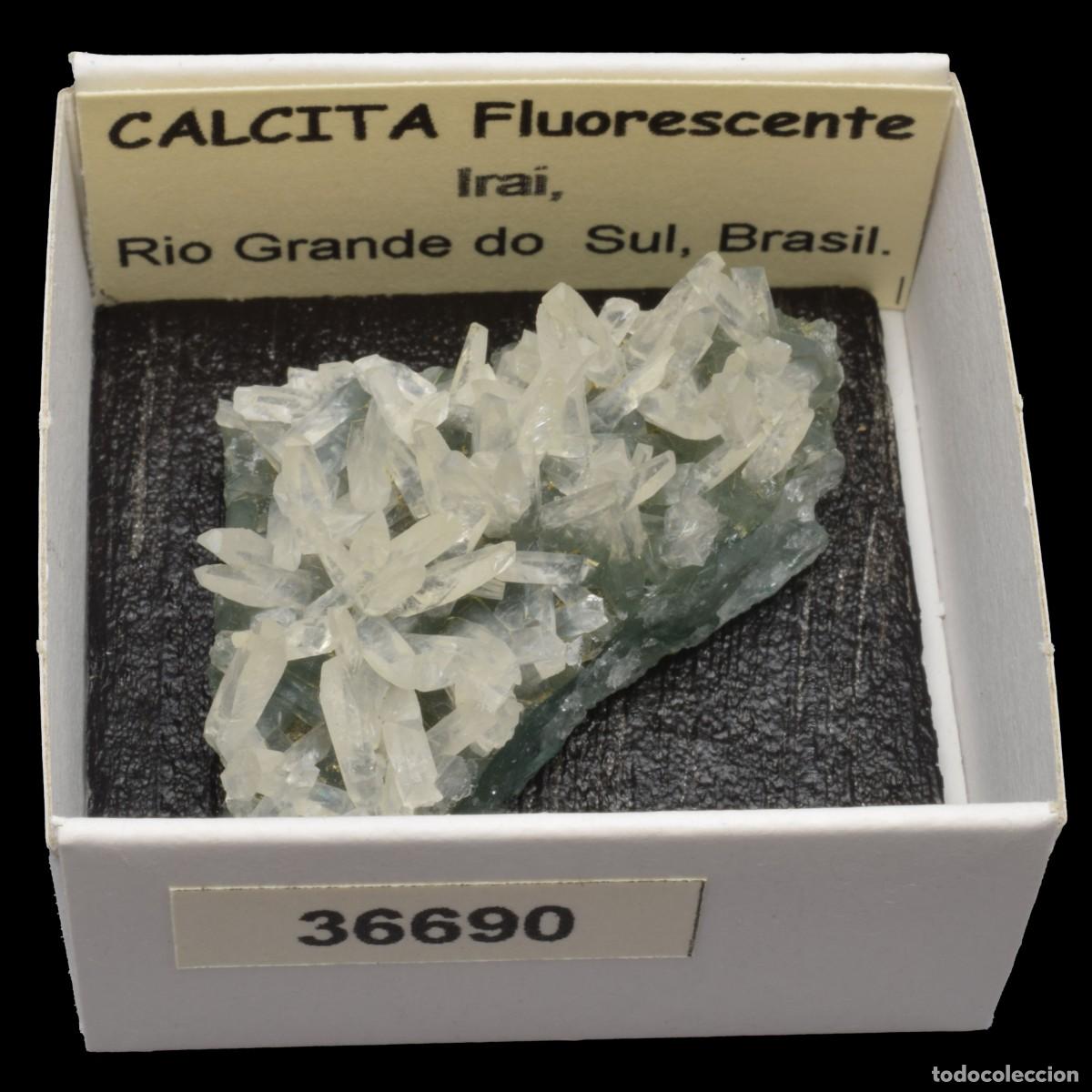Collectionnisme de min&eacute;raux: CALCITA Fluorescente (Irai, Rio Grande do Sul, Brasil) #36690