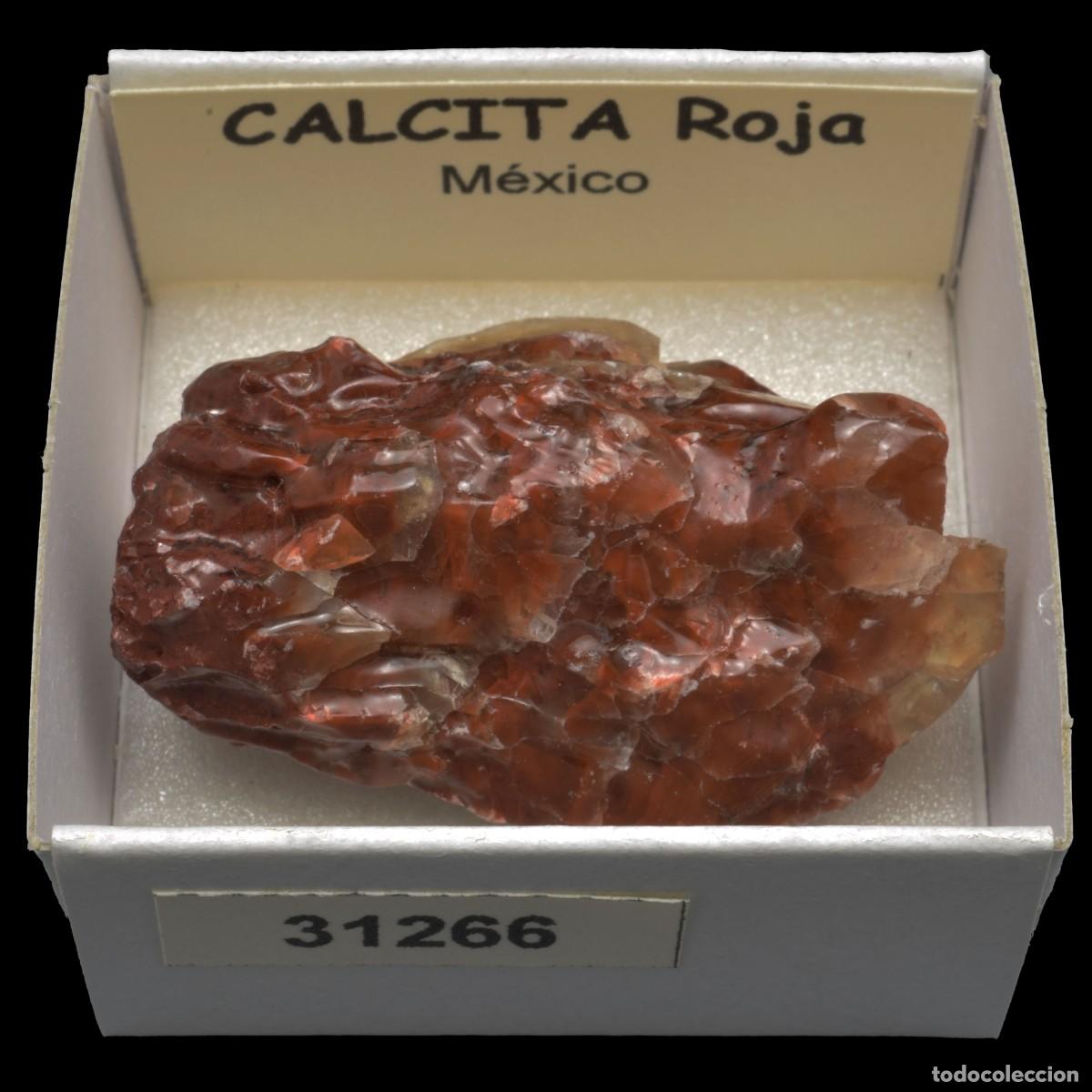 Collectionnisme de min&eacute;raux: CALCITA Roja (Mexico) #31266
