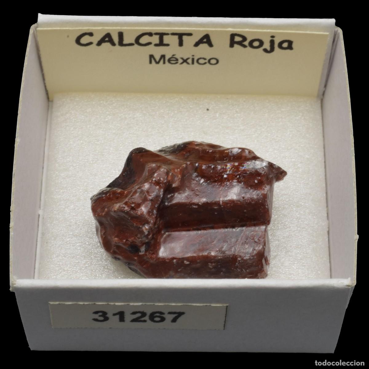 Collectionnisme de min&eacute;raux: CALCITA Roja (Mexico) #31267