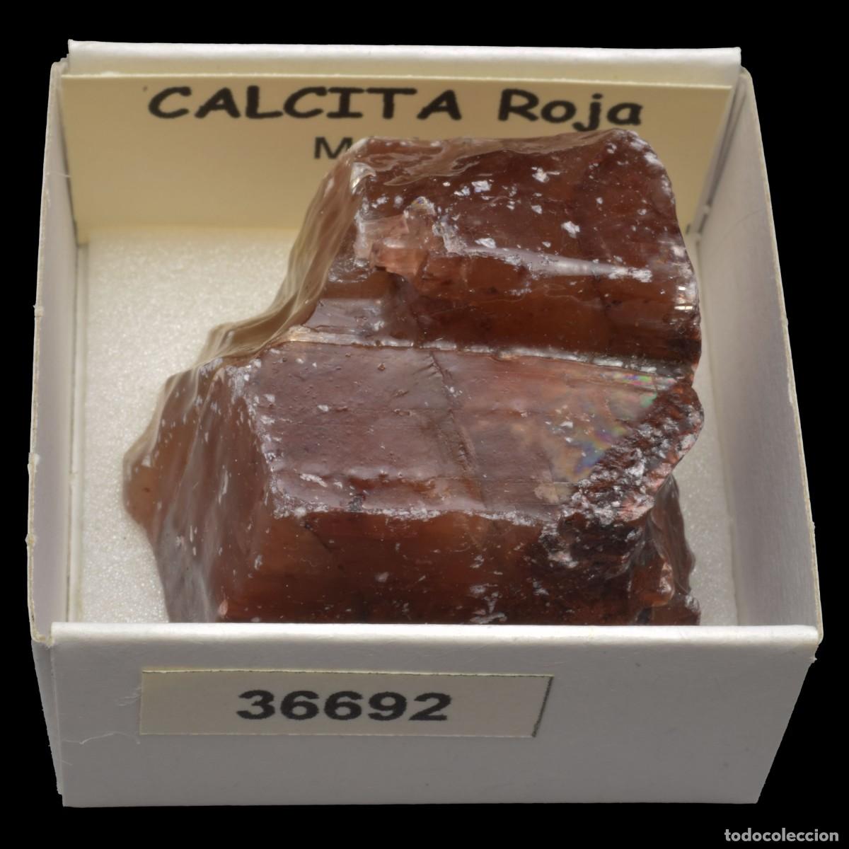 Collectionnisme de min&eacute;raux: CALCITA Roja (Mexico) #36692