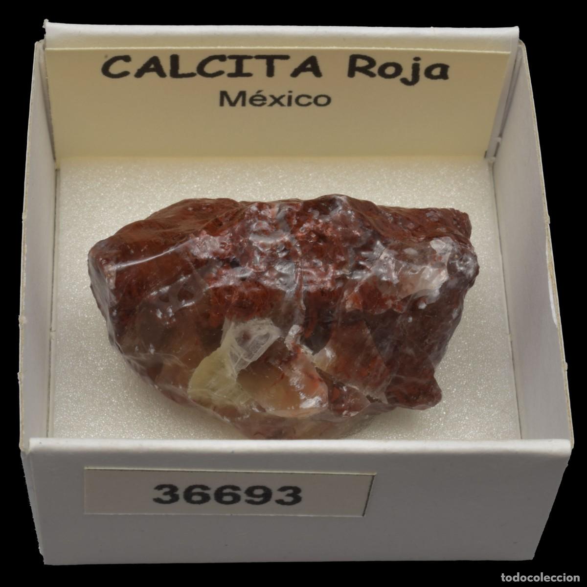 Collectionnisme de min&eacute;raux: CALCITA Roja (Mexico) #36693