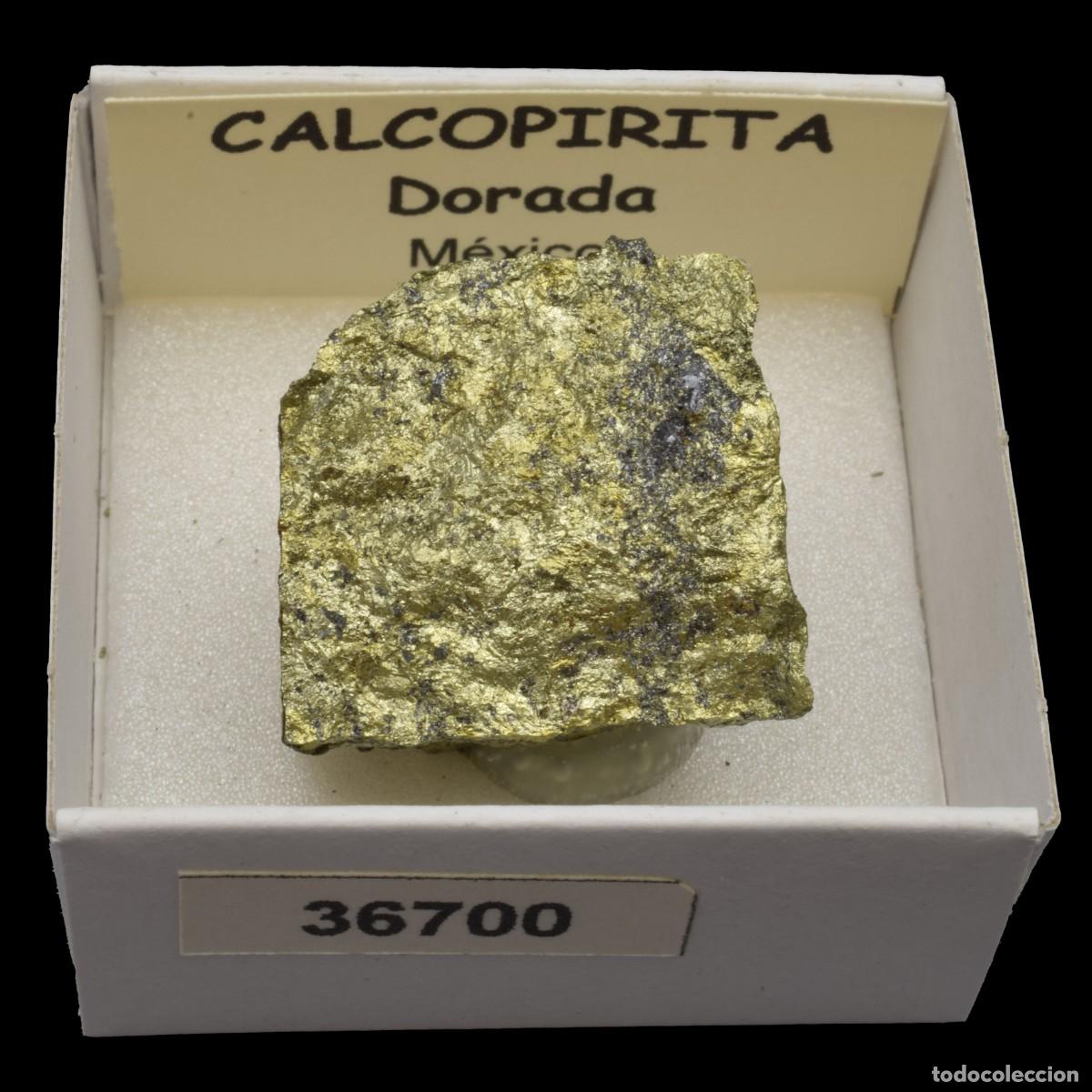 Collectionnisme de min&eacute;raux: CALCOPIRITA Dorada (Mexico) #36700