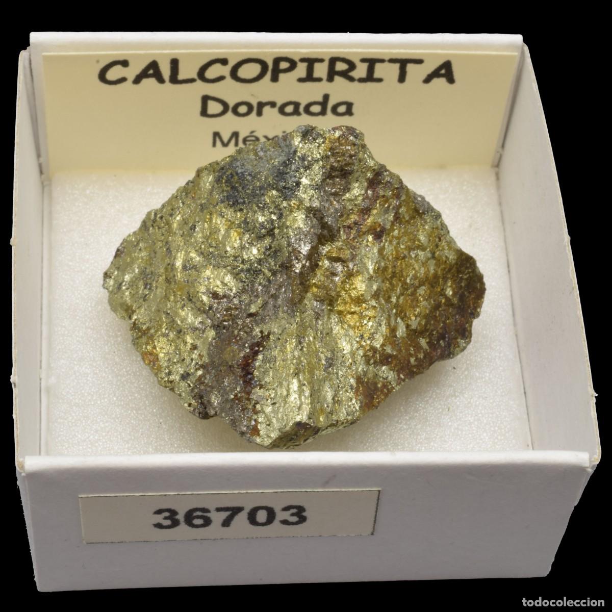 Mineral collecting: CALCOPIRITA Dorada (Mexico) #36703