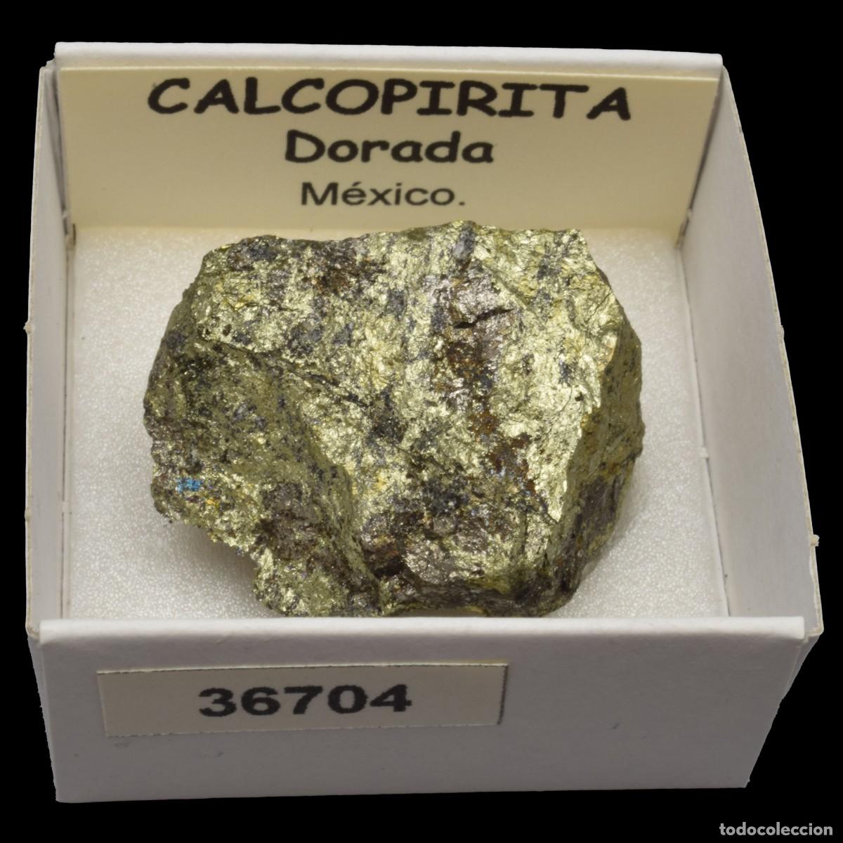 Mineral collecting: CALCOPIRITA Dorada (Mexico) #36704