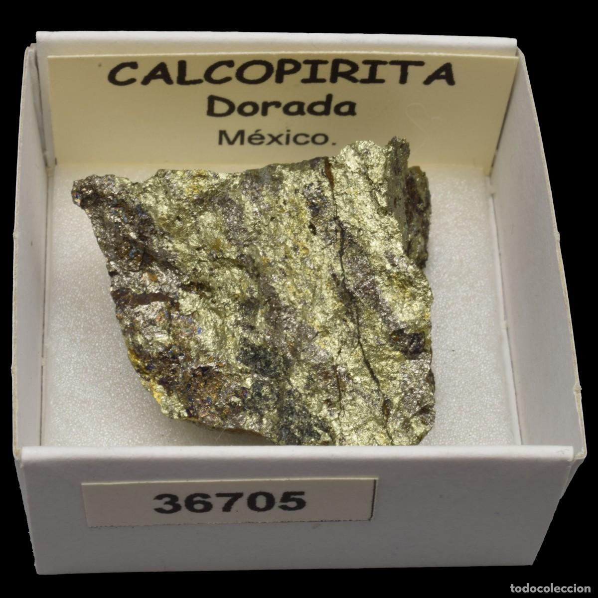 Coleccionismo de minerales: CALCOPIRITA Dorada (Mexico) #36705 - Foto 1