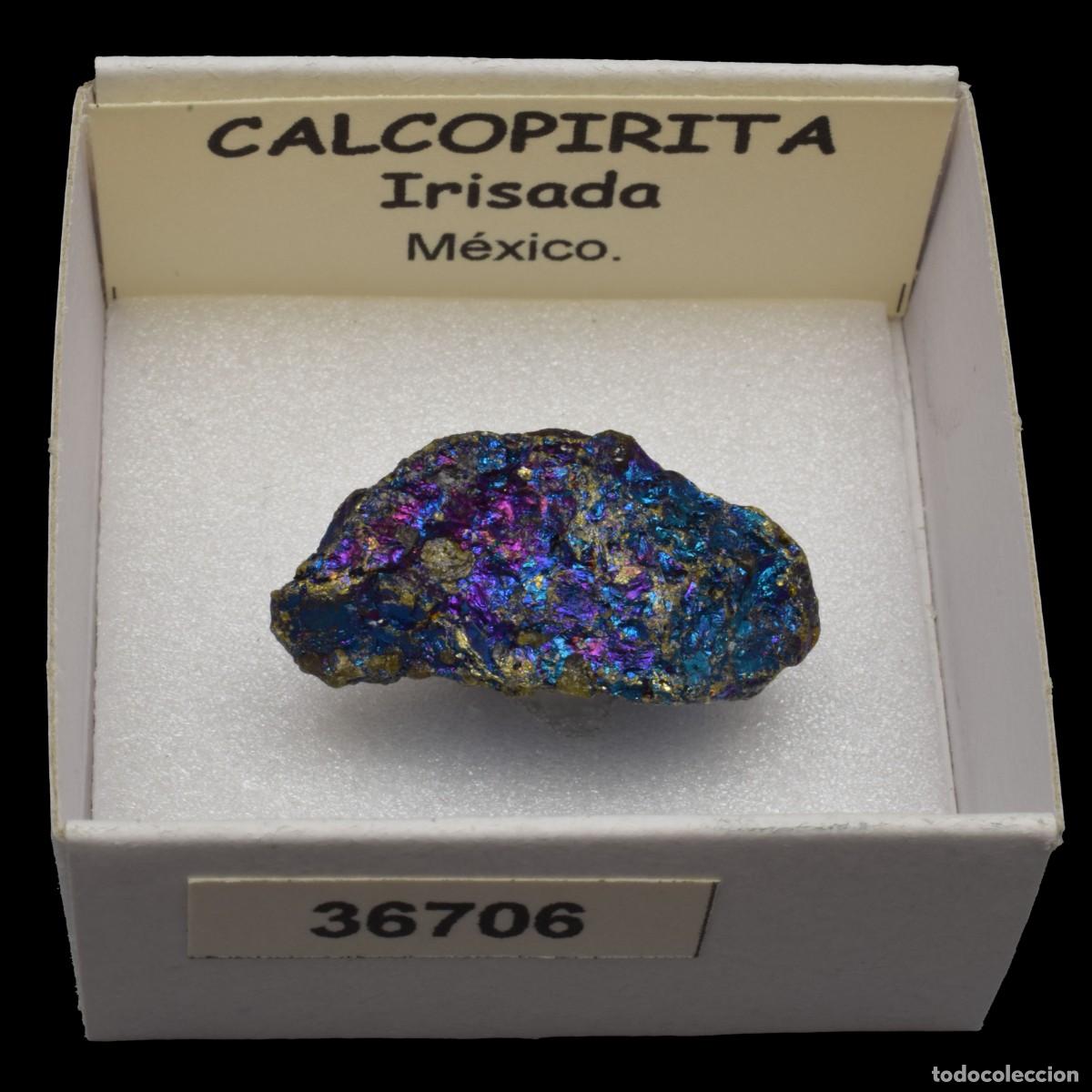 Mineral collecting: CALCOPIRITA Irisada (Mexico) #36706