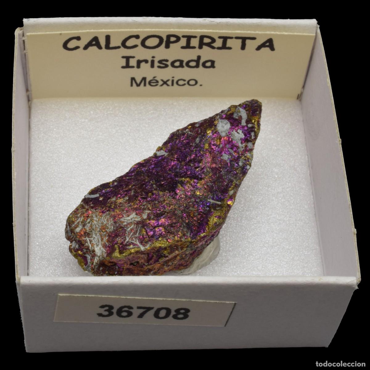 Coleccionismo de minerales: CALCOPIRITA Irisada (Mexico) #36708